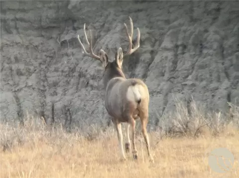 Other - 314 Oilfield Rd, Fallon, MT 59326 photo 3 of 16