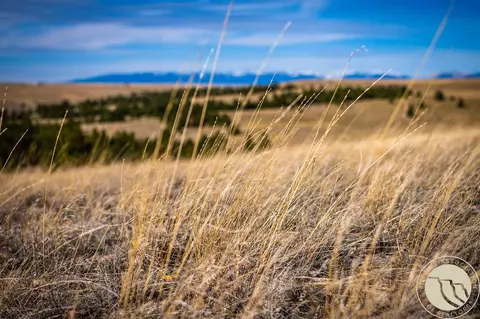 tbd Tract 94, Shawmut, MT 59078 photo 7