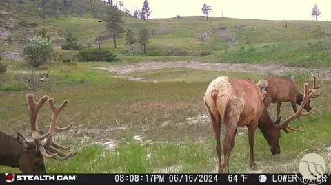 Other - 2168 Trophy Rdg, Roy, MT 59471 photo 9 of 21