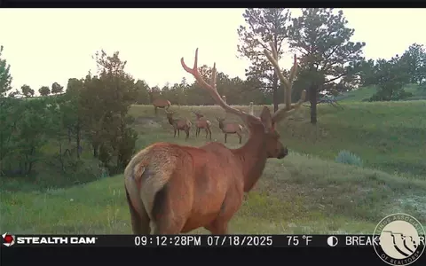 Other - 2168 Trophy Rdg, Roy, MT 59471 photo 19 of 21