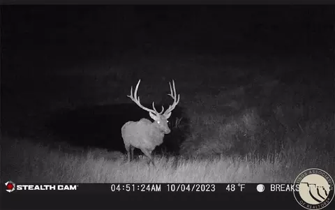 Other - 2168 Trophy Rdg, Roy, MT 59471 photo 21 of 21