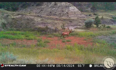 Other - 2168 Trophy Rdg, Roy, MT 59471 photo 10 of 21