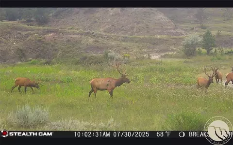 Other - 2168 Trophy Rdg, Roy, MT 59471 photo 20 of 21