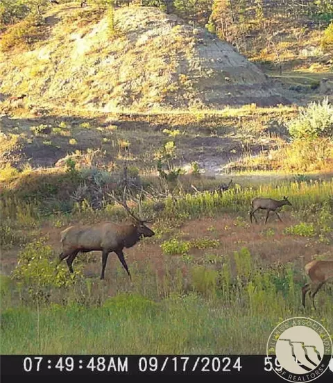 Other - 2168 Trophy Rdg, Roy, MT 59471 photo 12 of 21