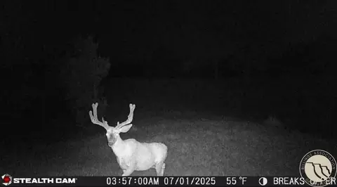 Other - 2168 Trophy Rdg, Roy, MT 59471 photo 18 of 21