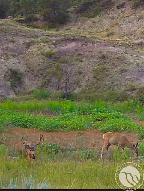 Other - 2168 Trophy Rdg, Roy, MT 59471 photo 17 of 21