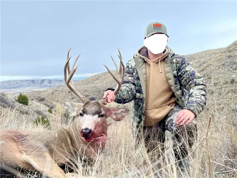 80 Acres Moser Dome Rd, Laurel, MT 59044 photo 25