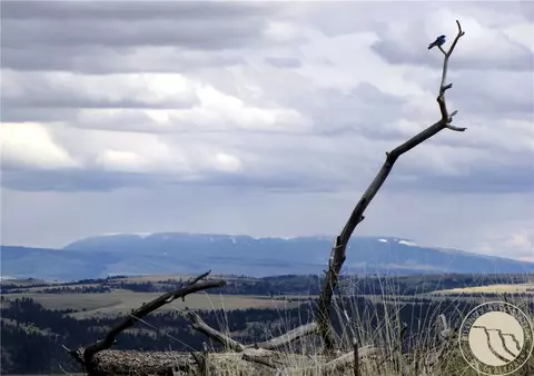 Nhn Wild Turkey Ridge Road, Columbus, MT 59019