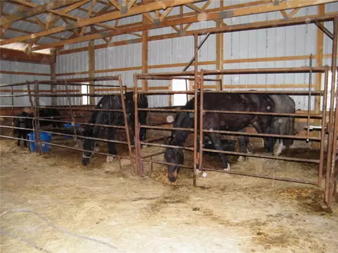 Other - 482 Number 4 Rd, Roundup, MT 59072 photo 8 of 10