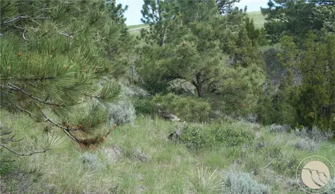 Other - 13960 N Cedar Cir, Molt, MT 59057 photo 14 of 14