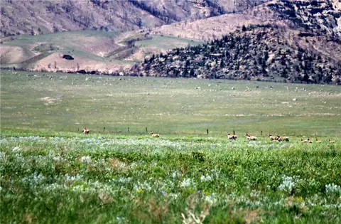3 Stagecoach Spur W, Belfry, MT 59008 photo 26