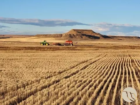 tbd Gee Rd, Rapelje, MT 59067 photo 2