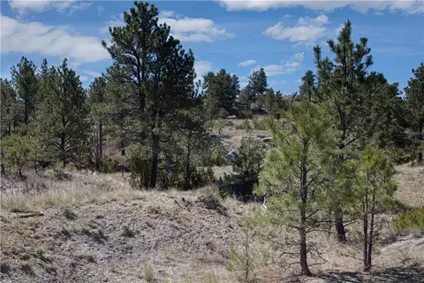 tbd Stonehouse Rd, Shepherd, MT 59079 photo 24