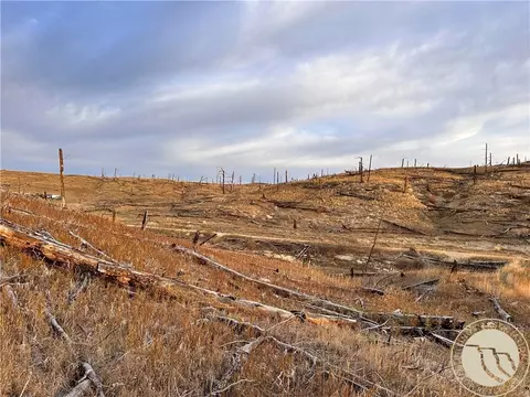 tbd Buckskin Rd, Roundup, MT 59072 photo 3