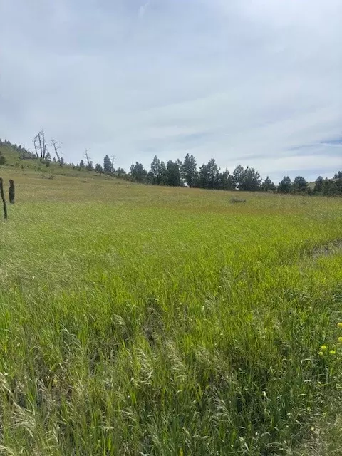 147 Haystack Coulee Rd, Columbus, MT 59019 photo 5