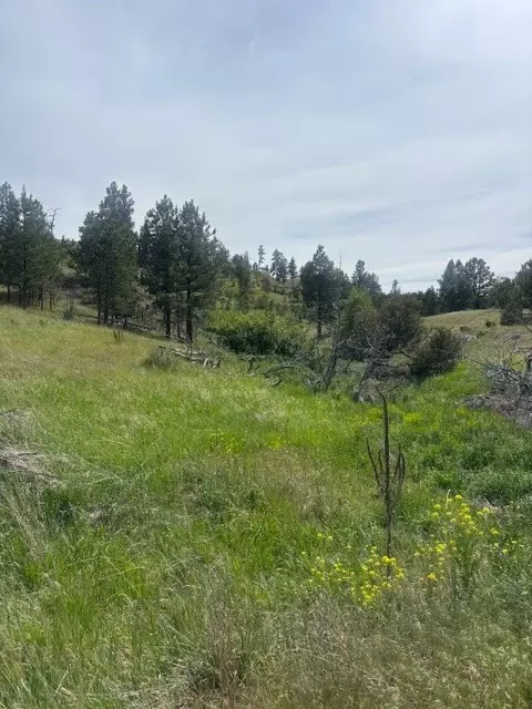 147 Haystack Coulee Rd, Columbus, MT 59019 photo 8