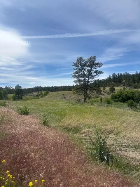 147 Haystack Coulee Rd, Columbus, MT 59019 photo 4