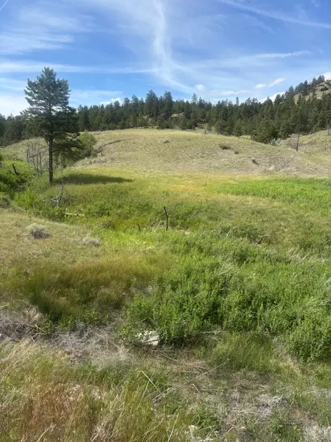 147 Haystack Coulee Rd, Columbus, MT 59019 photo 6