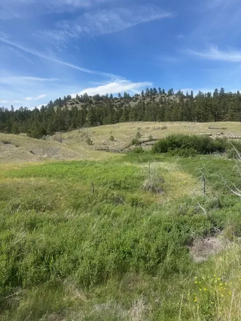 147 Haystack Coulee Rd, Columbus, MT 59019 photo 7