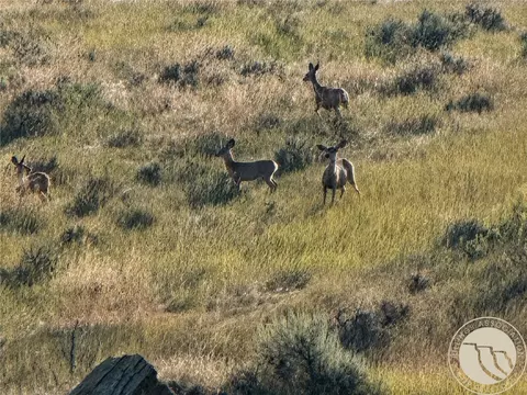 Other - 110 Snowflake Rd, Roundup, MT 59072 photo 15 of 19