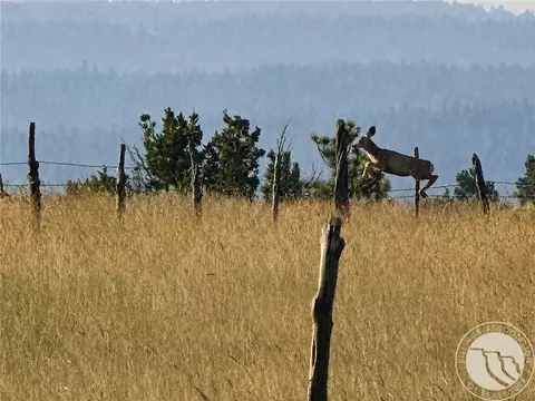Other - 110 Snowflake Rd, Roundup, MT 59072 photo 16 of 19
