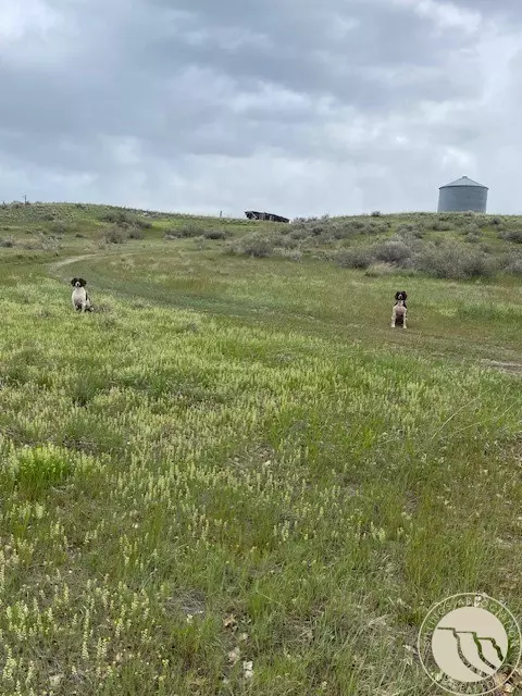 170 E Pryor Rd, Edgar, MT 59026 photo 2