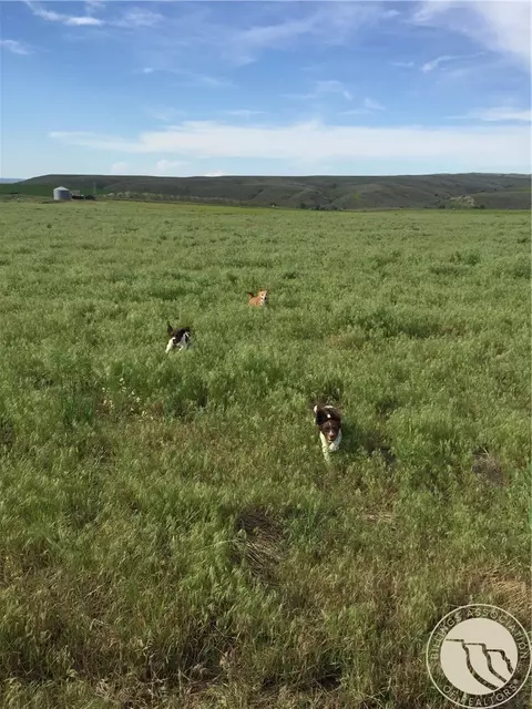 170 E Pryor Rd, Edgar, MT 59026 photo 3