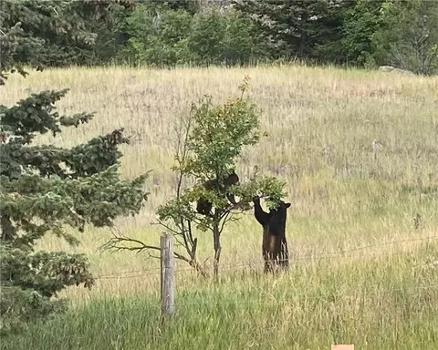 Other - 9 Moose Hvn, Mc Leod, MT 59052 photo 2 of 12