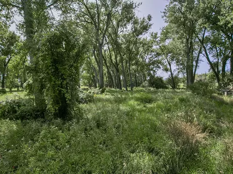 Other - tbd Wilkins Rd, Laurel, MT 59044 photo 6 of 9
