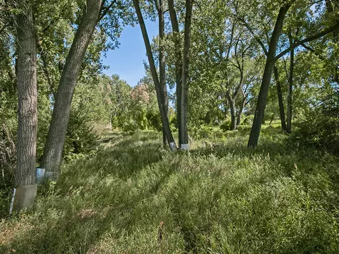 Other - tbd Wilkins Rd, Laurel, MT 59044 photo 5 of 9