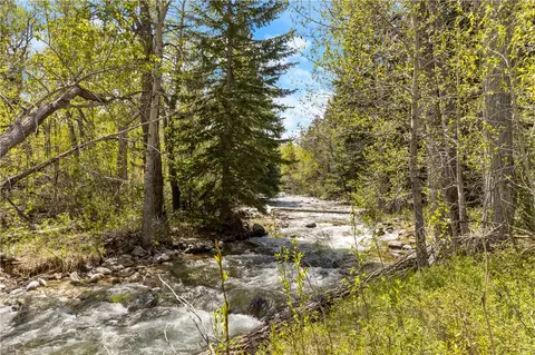25 Waterworks Rd, Red Lodge, MT 59068
