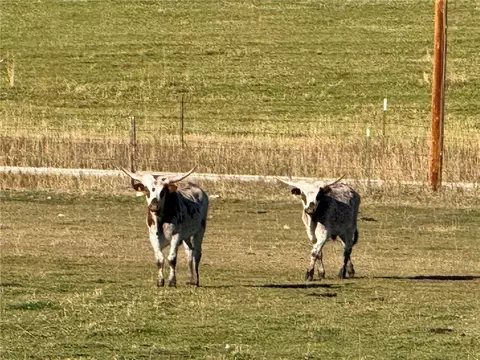 tbd Smith Rd, Red Lodge, MT 59068 photo 31