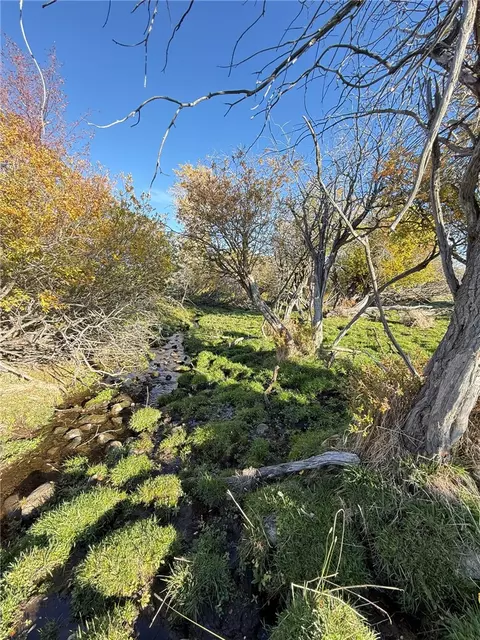tbd Smith Rd, Red Lodge, MT 59068 photo 44