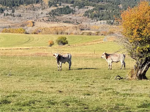 tbd Smith Rd, Red Lodge, MT 59068 photo 36