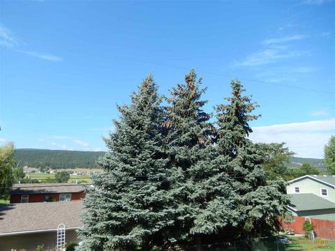 12805 Larene Dr, Black Hawk, SD 57718 photo 17