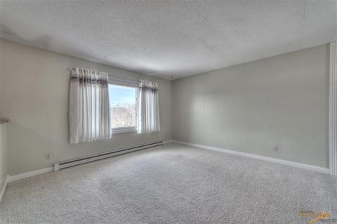 12300 Renata, Black Hawk, SD 57718 photo 4