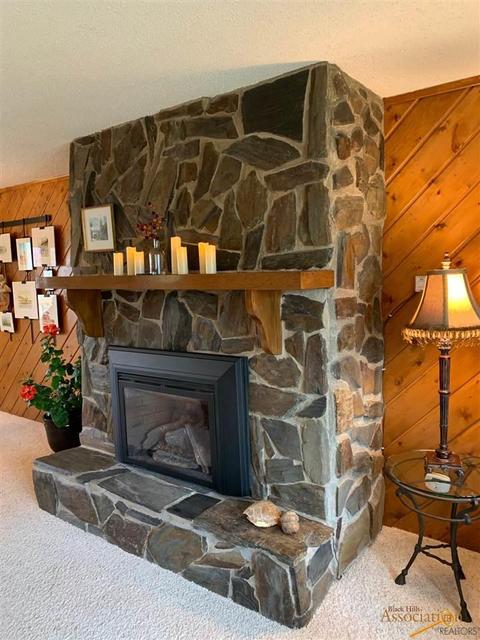 10610 N High Meadows Dr, Black Hawk, SD 57718 photo 19