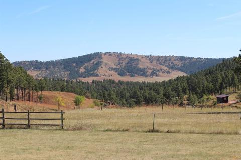 13784 Borglum Rd, Keystone, SD 57751 photo 32