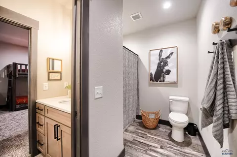 21254 Dancing Sky Ln, Lead, SD 57754 photo 31