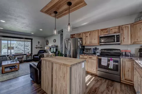 12204 Renata Dr, Black Hawk, SD 57718 photo 22