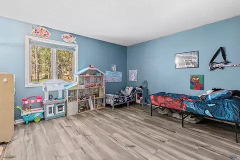 6800 Eastridge Rd, Piedmont, SD 57769 photo 26