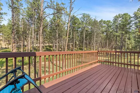 6800 Eastridge Rd, Piedmont, SD 57769 photo 10