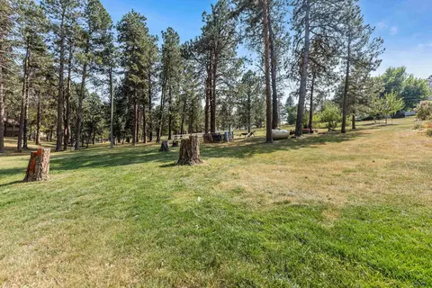 6800 Eastridge Rd, Piedmont, SD 57769 photo 6