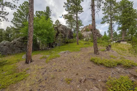 21824 Shiprock Rd, Nemo, SD 57759 photo 6