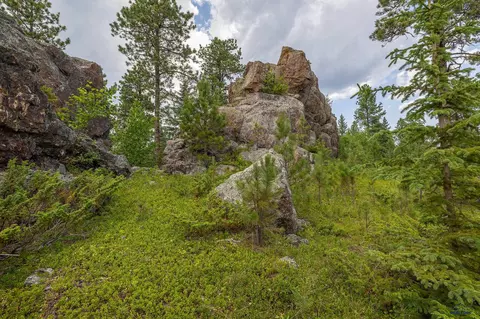 21824 Shiprock Rd, Nemo, SD 57759 photo 36