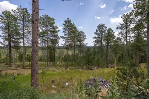 21824 Shiprock Rd, Nemo, SD 57759 photo 33