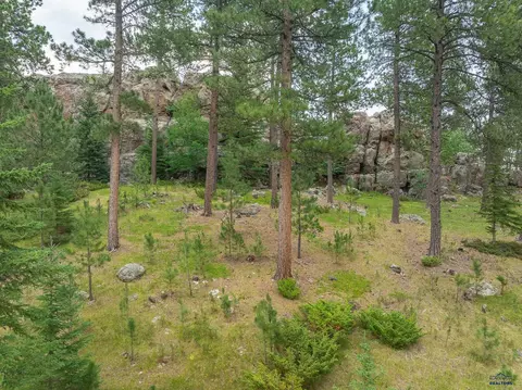 21824 Shiprock Rd, Nemo, SD 57759 photo 24