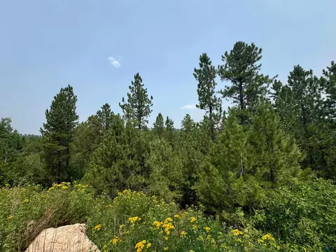 20820 Other #SIMONS PLACE, Sturgis, SD 57785 photo 11