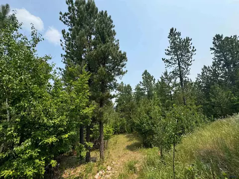20820 Other #SIMONS PLACE, Sturgis, SD 57785 photo 12
