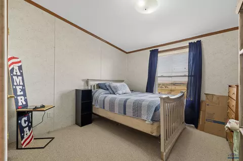 44 Taz, Hermosa, SD 57744 photo 11
